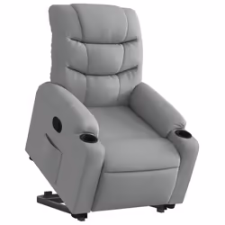 VidaXL 3206645 fauteuil