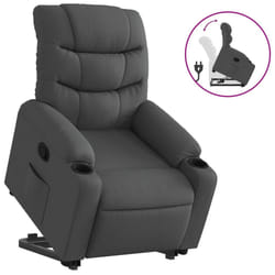 VidaXL 3206646 fauteuil