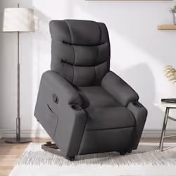 VidaXL 3206646 fauteuil
