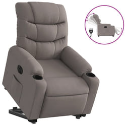 VidaXL 3206670 fauteuil