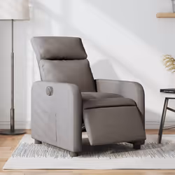 VidaXL 3206697 fauteuil