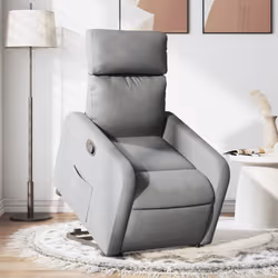 VidaXL 3206699 fauteuil