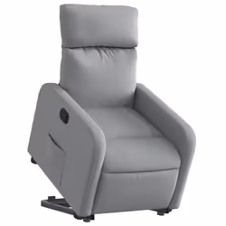 VidaXL 3206699 fauteuil