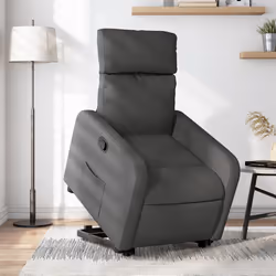 VidaXL 3206700 fauteuil