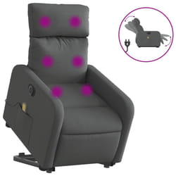 VidaXL 3206709 fauteuil