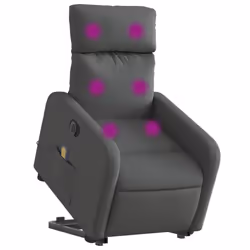 VidaXL 3206709 fauteuil