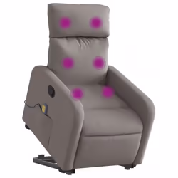 VidaXL 3206715 fauteuil