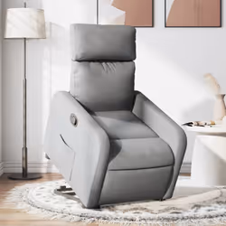 VidaXL 3206717 fauteuil