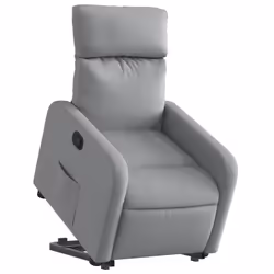 VidaXL 3206717 fauteuil