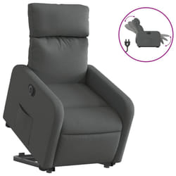 VidaXL 3206718 fauteuil