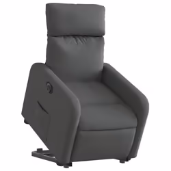 VidaXL 3206718 fauteuil