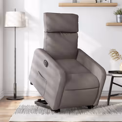 VidaXL 3206724 fauteuil