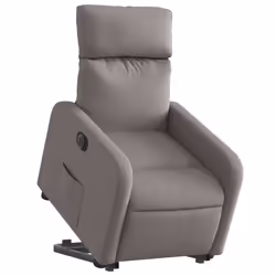VidaXL 3206724 fauteuil
