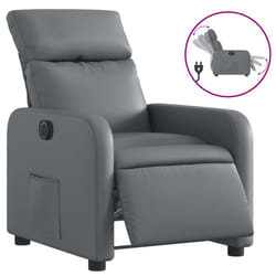 VidaXL 3206738 fauteuil