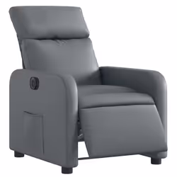 VidaXL 3206738 fauteuil