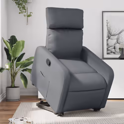 VidaXL 3206752 fauteuil