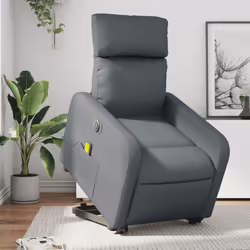 VidaXL 3206759 fauteuil
