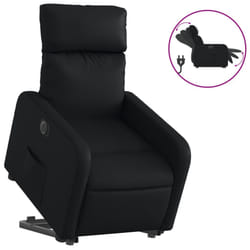 VidaXL 3206763 fauteuil