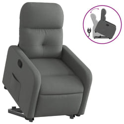 VidaXL 3206796 fauteuil