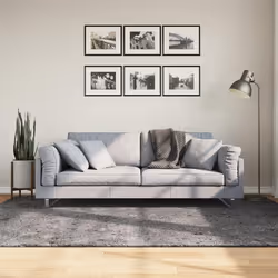 vidaXL Tapis HUARTE à poils courts doux lavable anthracite 160x230 cm
