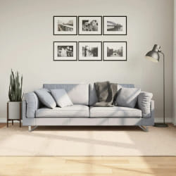 vidaXL Tapis HUARTE