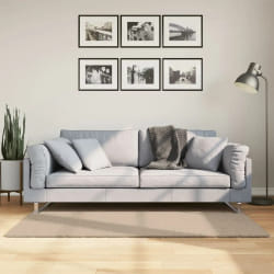 VidaXL Tapis Huarte Poils Courts
