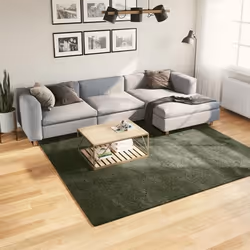 vidaXL Tapis à poils courts doux et lavable vert forêt 240x240 cm 375101