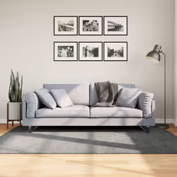 Ce tapis shaggy doux est parfait pour ajouter de la chaleur et de la texture à votre espace de vie intérieur. Durable et sûr  ...
