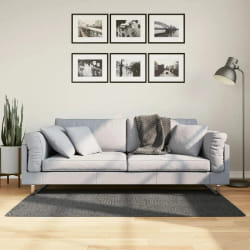 VIDAXL Tapis IZA Scandinavien - Anthracite 80x150 cm