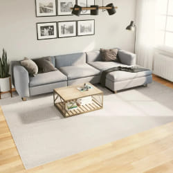 VIDAXL - Tapis IZA - Crème 240x340 cm