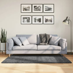 Vidaxl - Tapis oviedo à poils courts anthracite 80x150 cm