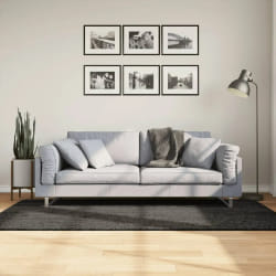 vidaXL Tapis ISTAN à poils longs aspect brillant anthracite 100x200 cm