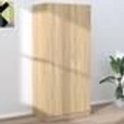 vidaXL Meuble TV avec lumières LED chêne fumé 30,5x30x102 cm