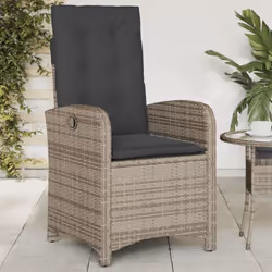Détendez-vous et profitez de l'extérieur dans cette chaise de jardin inclinable confortable ! Matériau durable : la résine tr ...