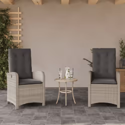 Détendez-vous et profitez de l'extérieur dans ces confortables chaises de jardin inclinables ! Matériau durable : la résine t ...