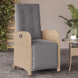 Détendez-vous et profitez de l'extérieur dans cette chaise de jardin inclinable confortable ! Matériau durable : la résine tr ...