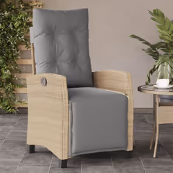 Détendez-vous et profitez de l'extérieur dans cette chaise de jardin inclinable confortable ! Matériau durable : la résine tr ...