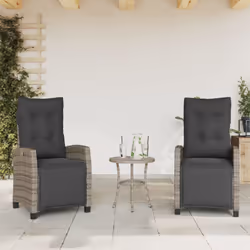Détendez-vous et profitez de l'extérieur dans ces confortables chaises de jardin inclinables ! Matériau durable : la résine t ...