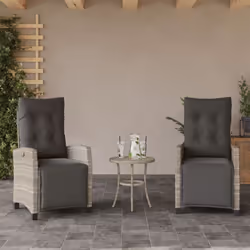 Détendez-vous et profitez de l'extérieur dans ces confortables chaises de jardin inclinables ! Matériau durable : la résine t ...