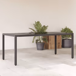 VidaXL 365537 table de jardin Noir