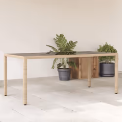 VidaXL 365539 table de jardin Beige
