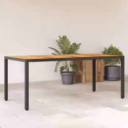 VidaXL 365541 table de jardin Noir