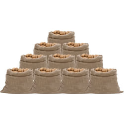 Vidaxl - Sacs en jute 10 pcs 100x110 cm 100 % jute 220 g/m²