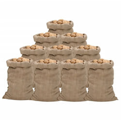 Sacs en jute 10 pcs 60x105 cm 100 % jute 340 g/m²