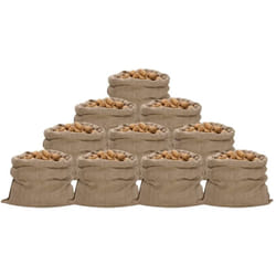 Vidaxl - Sacs en jute 10 pcs 100x110 cm 100 % jute 340 g/m²