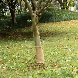 Ce rouleau de jute polyvalent est idéal pour divers événements ou occasions, comme les mariages, les fêtes ou la décoration i ...