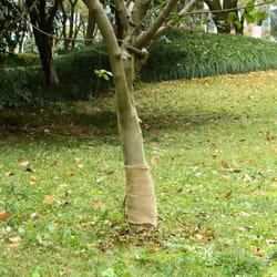 Vidaxl - Rouleau de jute 0,25x5 m 100 % jute 200 g/m²