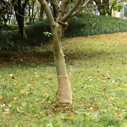 Ce rouleau de jute polyvalent est idéal pour divers événements ou occasions, comme les mariages, les fêtes ou la décoration i ...