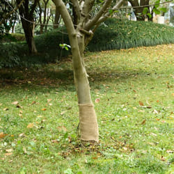 Vidaxl - Rouleau de jute 0,25x50 m 100 % jute 200 g/m²