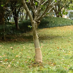 Ce rouleau de jute polyvalent est idéal pour divers événements ou occasions, comme les mariages, les fêtes ou la décoration i ...